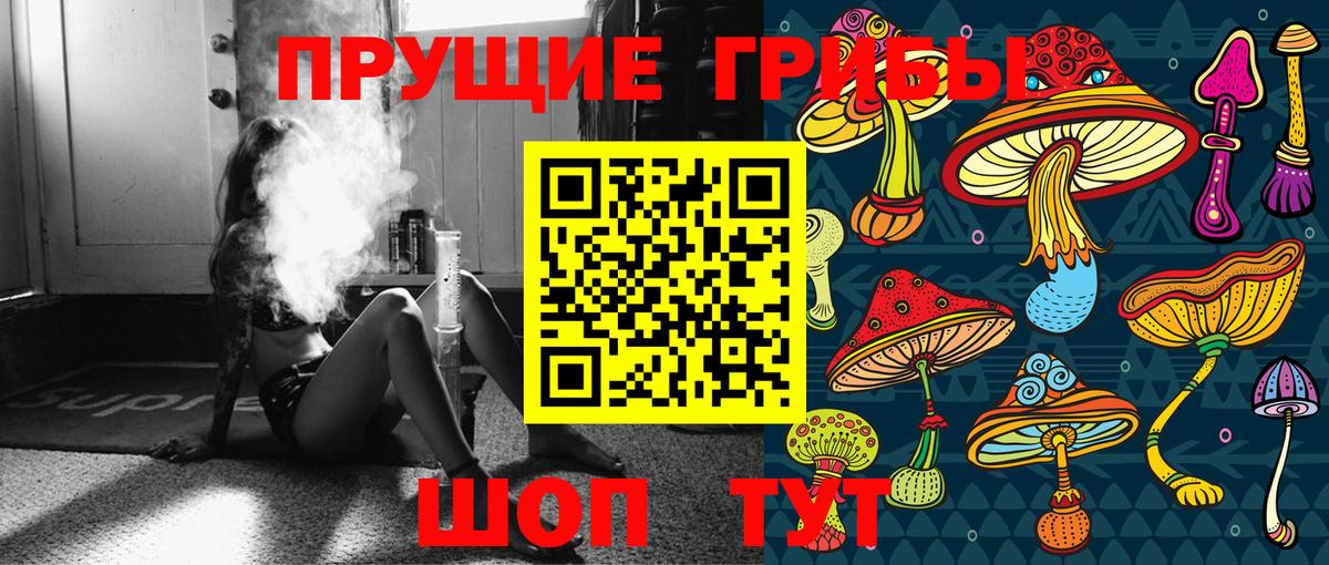 Заводоуковск  Псилоцибиновые грибы MAGIC MUSHROOMS  купить   Псилоцибиновые грибы ЛСД  Вход с VPN 