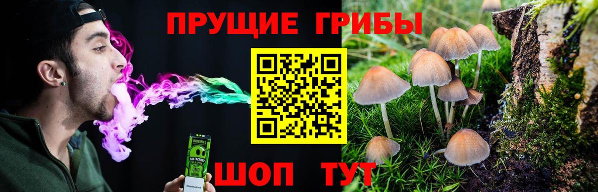 Галлюциногенные грибы GOLDEN TEACHER Заводоуковск